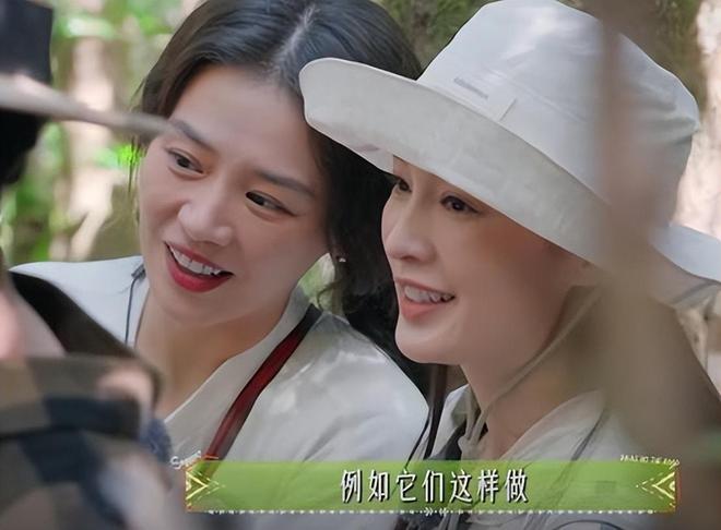 点”的李沁惊艳整个人面相变了惊鸿一瞥pg电子免费模拟器一档综艺被“一脸斑(图1)