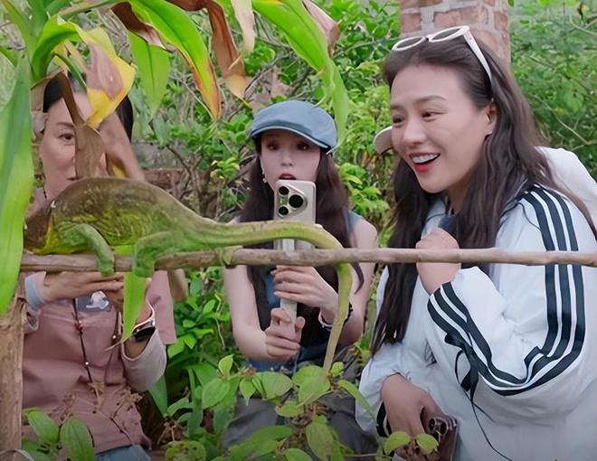 点”的李沁惊艳整个人面相变了惊鸿一瞥pg电子免费模拟器一档综艺被“一脸斑(图19)